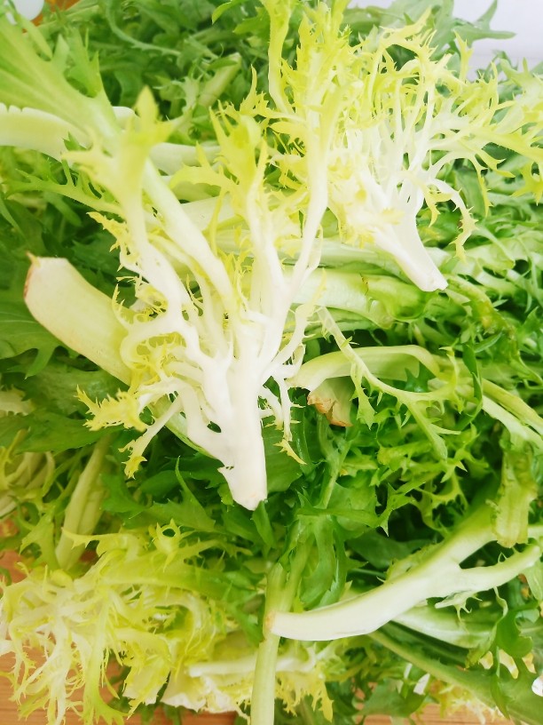 青瓜苦菊沙拉,一把<a style='color:red;display:inline-block;' href='/shicai/ 3320'>苦菊</a>清洗干净,切成长段。