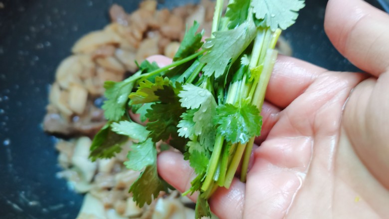 杏鲍菇炒肉片,少许的香菜（提香效果非常的好）