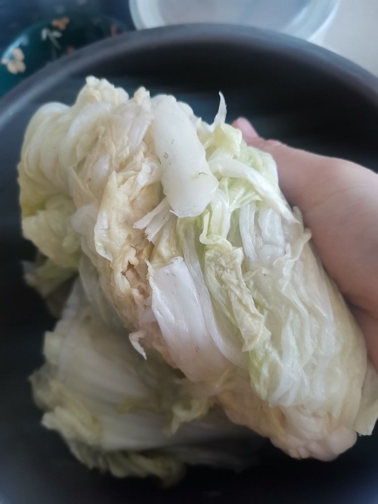 朝鲜辣白菜,白菜用重物压住腌制2天,用清水投洗两次,挤干水份