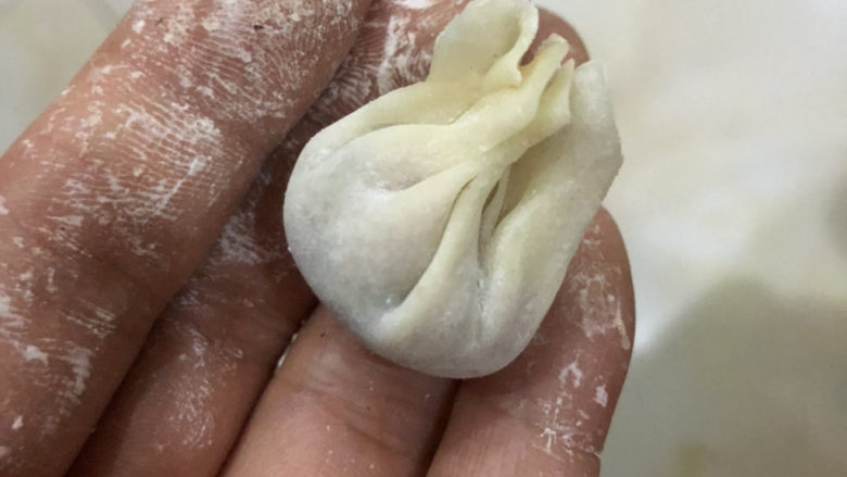 手工小混沌(抄手),后面把右边收过来,就这个样子了