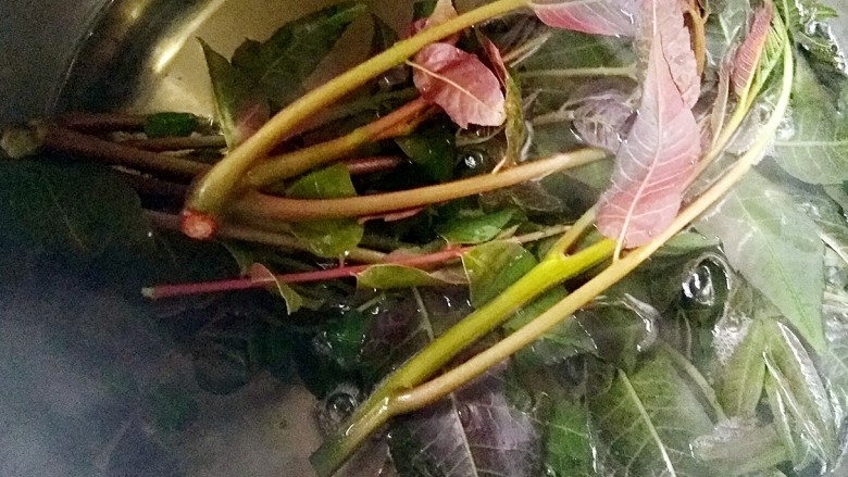 香椿炒蛋,锅中水烧开,放入香椿芽。