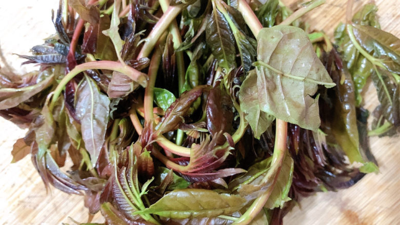 香椿炒腊肉,香椿洗净折去根部,留下细嫩的叶片部分。