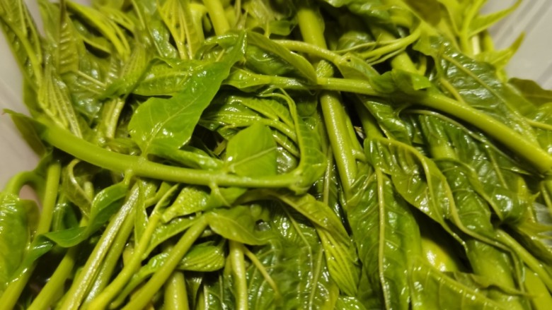 香椿炒蛋,<a style='color:red;display:inline-block;' href='/shicai/ 3246'>香椿芽</a>清理后,放沸水中焯水