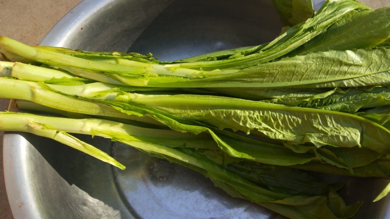 凉拌油麦菜,油麦菜一把。