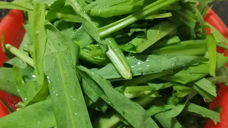 清炒油麦菜.,<a style='color:red;display:inline-block;' href='/shicai/ 155'>油麦菜</a>洗净切段