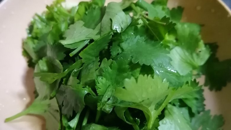 西红柿炖牛肉,香菜切碎