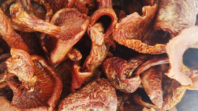 红烧鸡肉烩菜,泡发的榛蘑,香菇清洗干净备用。