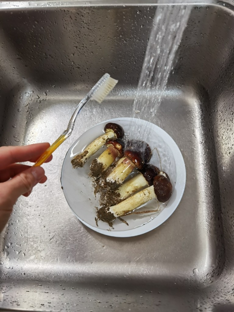 舌尖上的美味~松茸养生鸡汤,烹饪前需处理一下松茸表面的泥土,准备一把牙刷,用牙刷轻轻地把松茸刷洗一遍后。