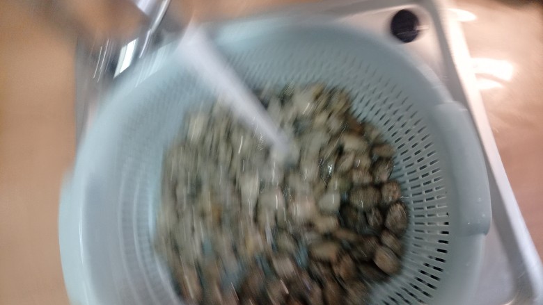 葱油花蛤,浸泡好的花蛤,清水反复冲洗干净