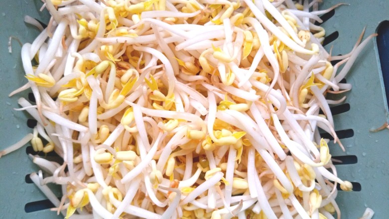 醋溜绿豆芽,取<a style='color:red;display:inline-block;' href='/shicai/ 133'>绿豆芽</a>,摘干净