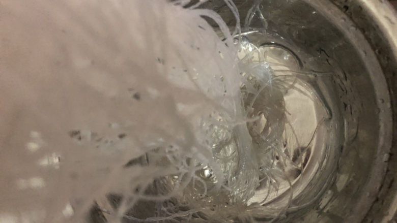 蒜蓉粉丝蒸丝瓜,把泡好的粉丝,弄短些