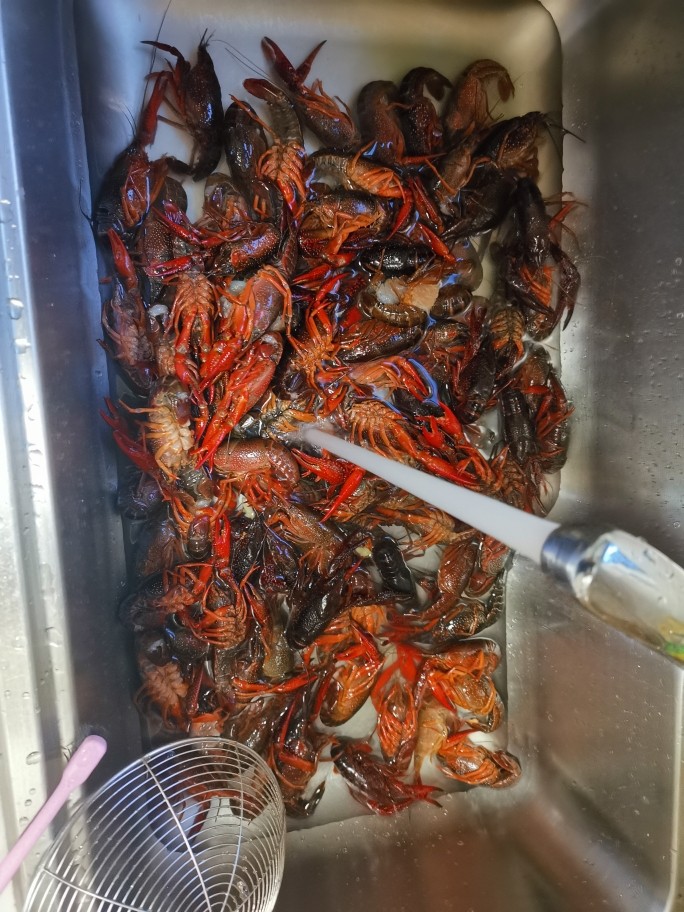 红烧龙虾,洗一洗