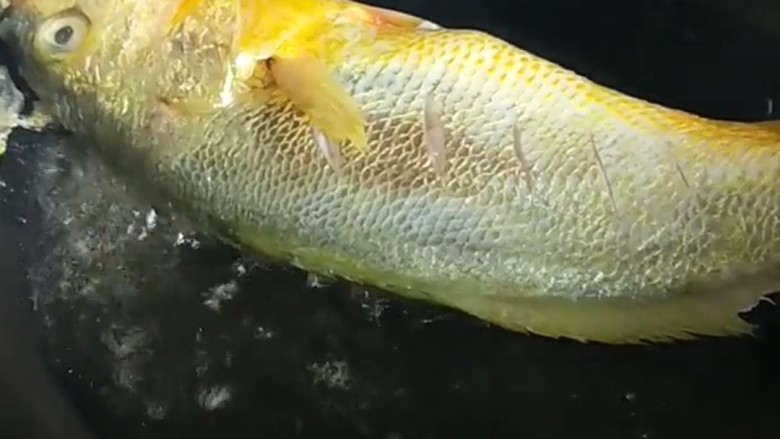 糖醋草鱼,,下油锅炸制两面金黄。