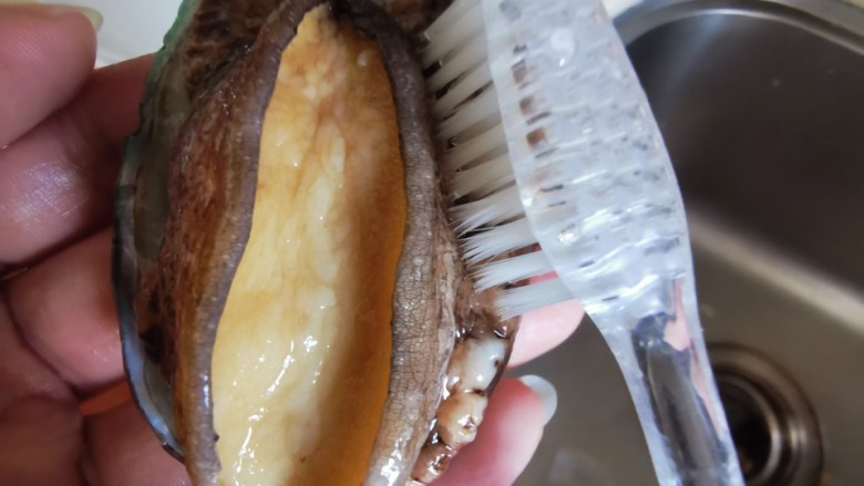 杞菊炖鲍鱼,用牙刷将鲍鱼裙边清洗干净,去掉肉与壳之间的泥肠。