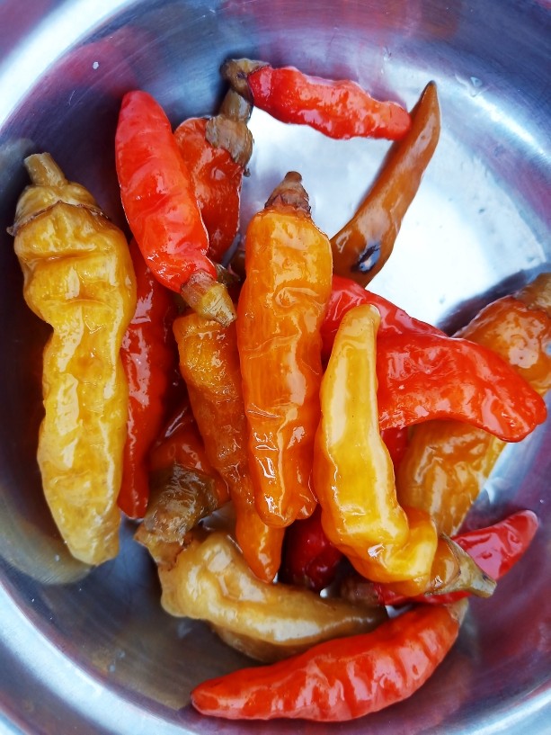 辣炒银耳,准备一把<a style='color:red;display:inline-block;' href='/shicai/ 703'>泡椒</a>。