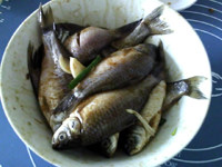 葱烤鲫鱼,抓匀,腌制10-15分钟