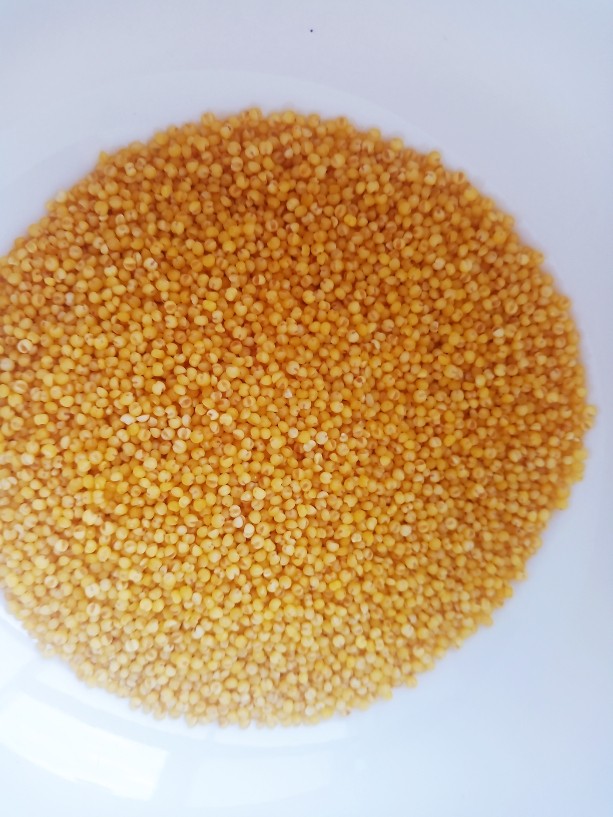 红枣小米燕麦粥,准备一杯<a style='color:red;display:inline-block;' href='/shicai/ 493'>小米</a>。