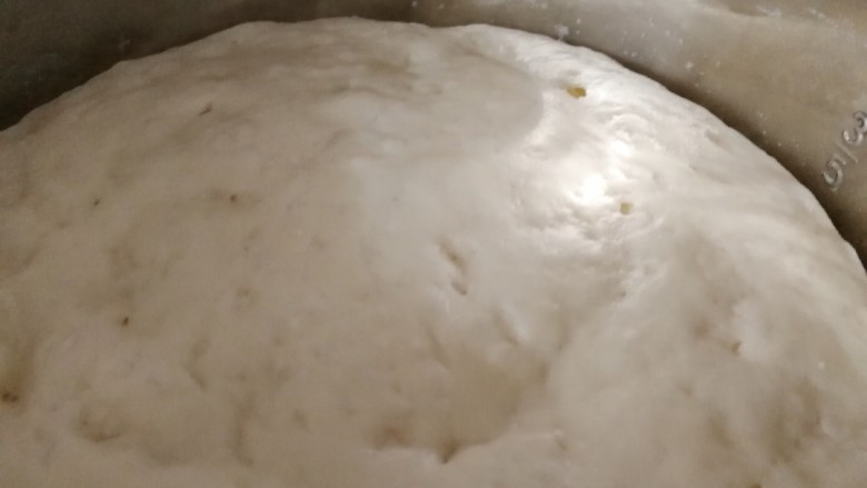 茼蒿大肉包,揉成光滑面团,密封饧发体积变2倍大。