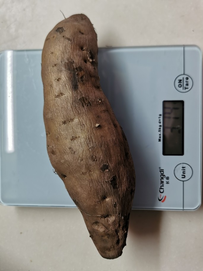 芝麻红薯饼,<a style='color:red;display:inline-block;' href='/shicai/ 2585'>红薯</a>。