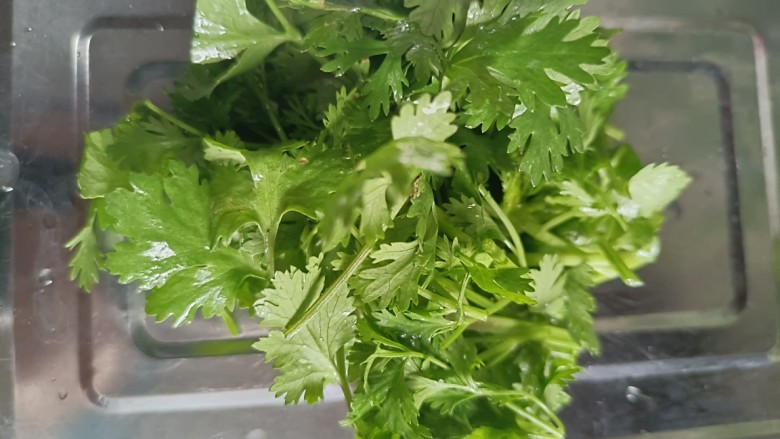 干煸黄豆芽,香菜择洗干净,切小段备用