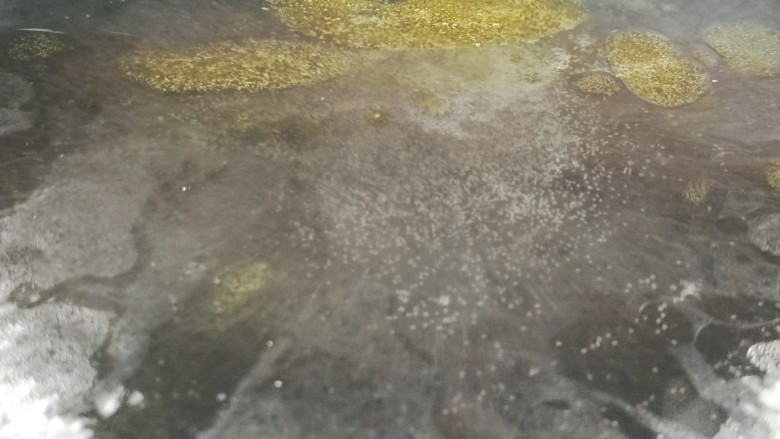 彩蔬火腿丁,起锅烧开水,加少许盐和油