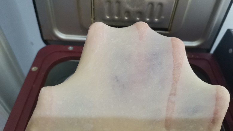 西瓜吐司,放入面包机启动揉面程序36分钟,结束后用手能够拉出薄而有韧性的膜,破洞无锯齿