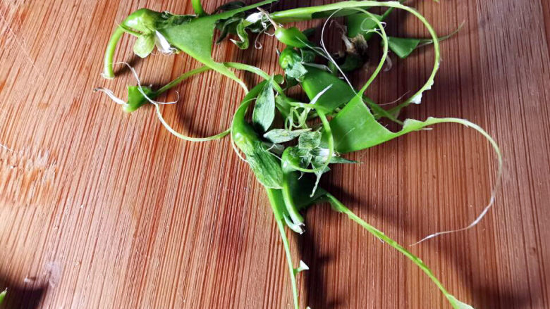 肉片炒荷兰豆,荷兰豆要用手撕去豆荚上的筋,才能确定去掉老的部分
