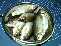 家常炖鲫鱼,鲫鱼去鳞甲内脏,洗净