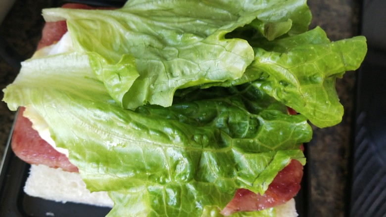 早餐时刻,再铺上一片生菜叶子