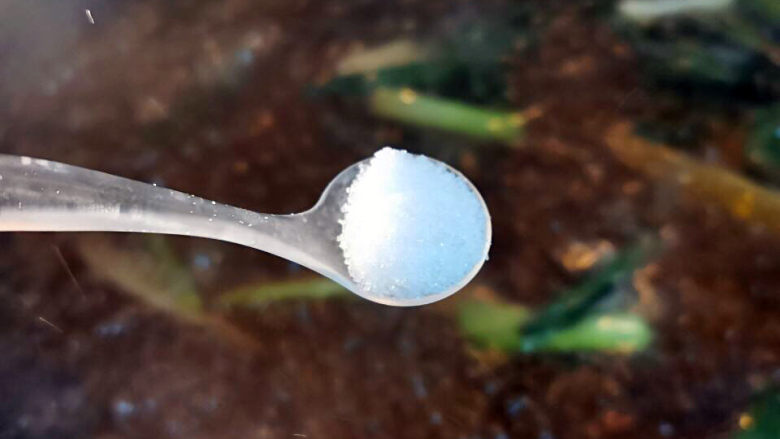 青菜猪肝汤,加入盐,鸡精