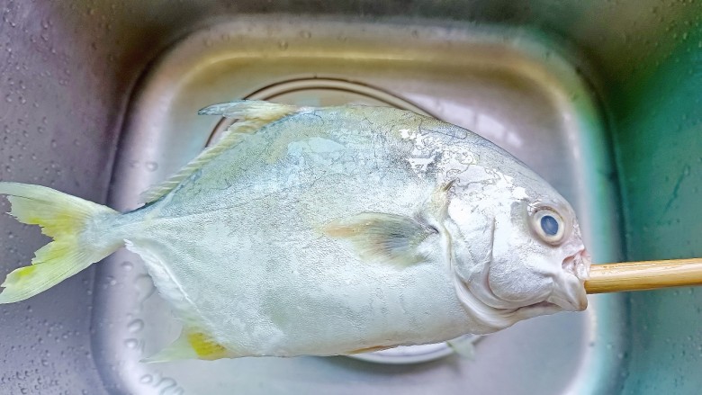 盐焗烤鱼,筷子从两边鱼鳃直接插进鱼肚,轻轻转动筷子,就可以把内脏拉出来,再用清水清洗干净。