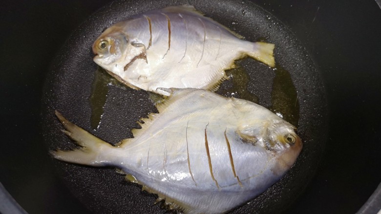 盐焗烤鱼,平底锅倒适量的食用油烧热,放入腌制好的鲳鱼。