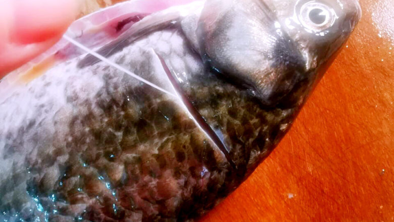 鲫鱼豆腐菇菌汤,鲫鱼收拾好之后,在鱼的下巴及鱼尾上方切一刀,抽出腥线