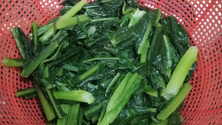 清炒油麦菜,捞出过凉水