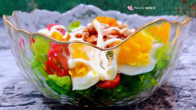 鸡胸肉蔬菜沙拉,这碗鸡胸肉蔬菜沙拉看起来就如同一款经典的艺术品