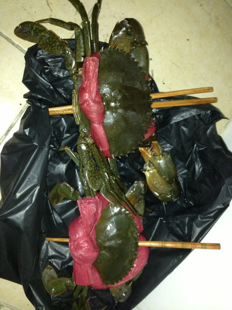 黑胡椒螃蟹,先把螃蟹杀死~杀螃蟹有一个最温柔的方法…就是先拿白酒到一点进他们嘴巴里让他们喝醉,然后再像我一样粗暴的用筷子桶进去他们的身体里面。十分钟后必死无疑