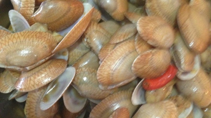 小辣椒炒花甲