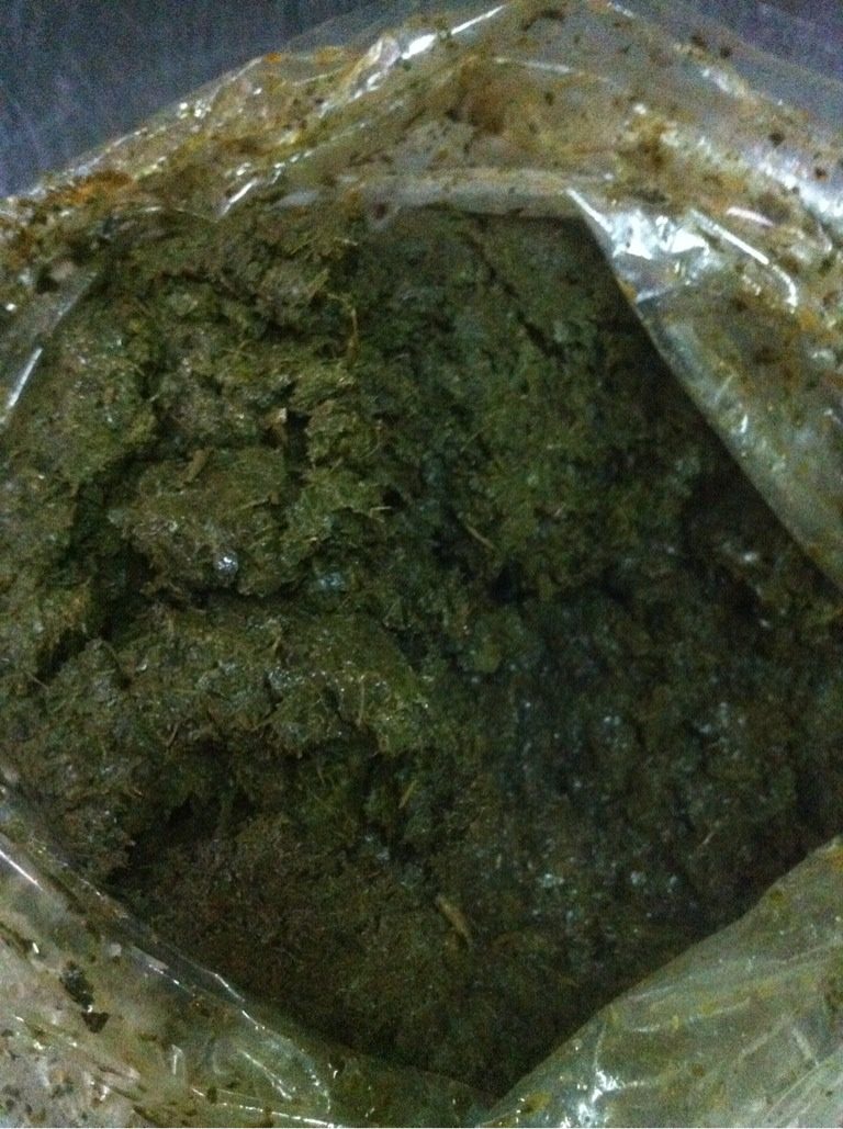 香椿酿客家豆腐,把<a style='color:red;display:inline-block;' href='/shicai/ 9722'>三层肉</a>剁碎下<a style='color:red;display:inline-block;' href='/shicai/ 2646'>马蹄</a>碎，<a style='color:red;display:inline-block;' href='/shicai/ 230'>香菇</a>碎，<a style='color:red;display:inline-block;' href='/shicai/ 163'>葱白</a>，调味：盐、味精、糖少许、蚝油、大地鱼末，调完味甩至上劲备用。