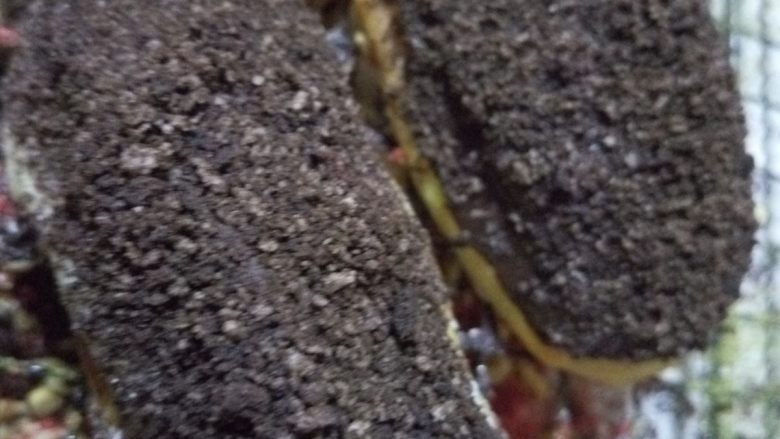 闪电泡芙,当抹上巧克力时,趁巧克力还没有凝固,马上洒上各式装饰粉类及碎屑,使之粘合在一起。如图所示,我洒上的是奥利奥碎屑。
