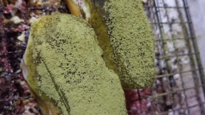 闪电泡芙,洒上的抹茶粉,抹茶闪电泡芙