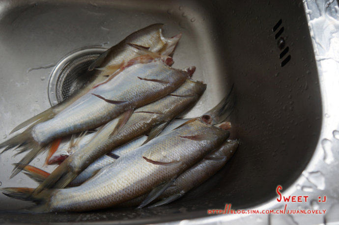 香辣刁子鱼,鱼处理干净,身上划两刀,抹少许盐、<a style='color:red;display:inline-block;' href='/shicai/ 718'>料酒</a>腌制备用。