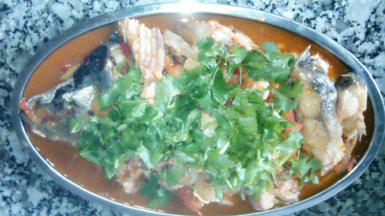 红烧番茄鱼,装盘撒上香菜，在这里喜欢吃麻辣的可以滴几滴麻油