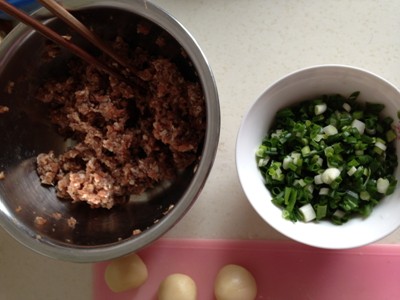 台湾胡椒肉饼,肉末搅拌均匀，1块钱的<a style='color:red;display:inline-block;' href='/shicai/ 157'>小葱</a>切花花