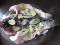 清蒸鲈鱼,蒸盘底部铺上大块儿葱姜;葱姜上平铺放鱼,鱼身上再铺一层葱姜片