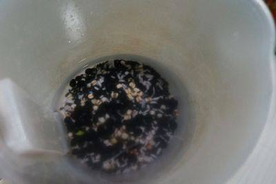 无敌黑豆紫米露,将黑豆、紫米、薏仁米、糯米。用清水洗净，泡水放冰箱一夜！