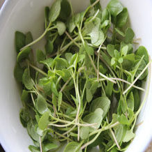 荆芥肉丝手擀面 ,<a style='color:red;display:inline-block;' href='/shicai/ 414'>猪肉</a>切成丝备用，<a style='color:red;display:inline-block;' href='/shicai/ 3250'>葱</a>和<a style='color:red;display:inline-block;' href='/shicai/ 37'>姜</a>切碎，把<a style='color:red;display:inline-block;' href='/shicai/ 3759'>荆芥</a>洗干净