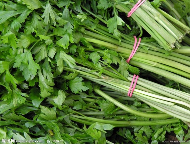 芹菜芦荟汁（非原创