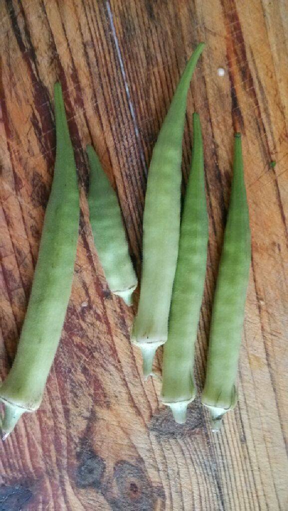 秋葵炒腊肉,<a style='color:red;display:inline-block;' href='/shicai/ 70'>秋葵</a>切滚刀状备用，