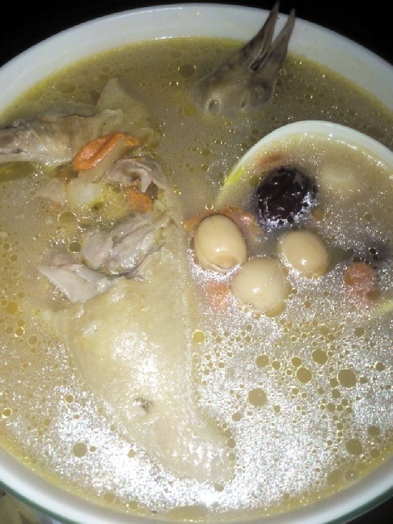 四季鸽子汤