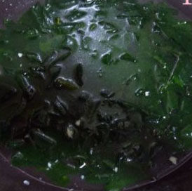 裙带菜花蛤汤,炒锅内放入洗净的裙带菜翻炒一下,加入适量的清水,盖上盖子烧开后煮15分钟